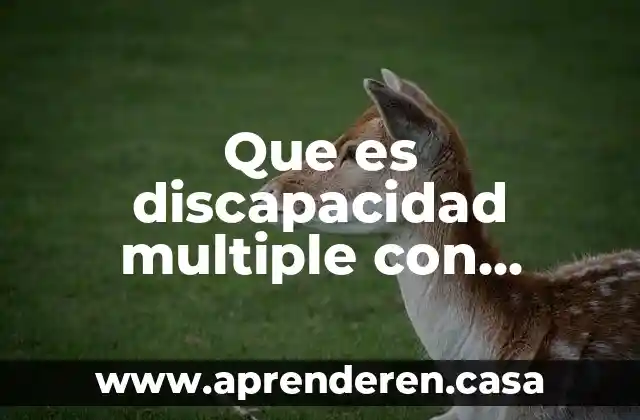 Que es indisciplina segun autores 4 Que es discapacidad multiple con autores
