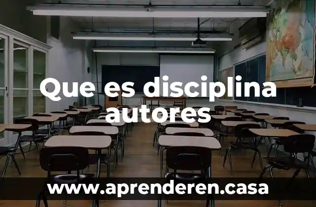 Zoning que es 3 Que es disciplina autores