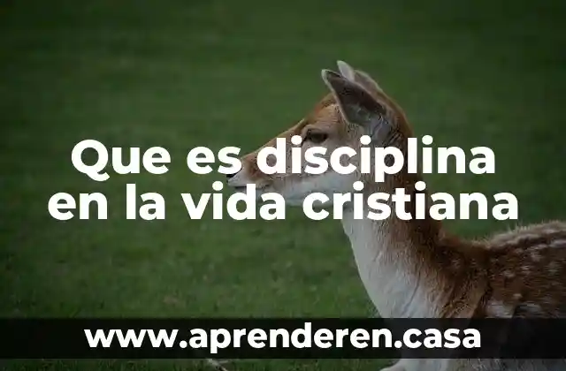 Que es disciplina en la vida cristiana