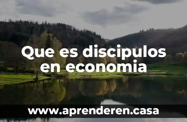 Que es discipulos en economia
