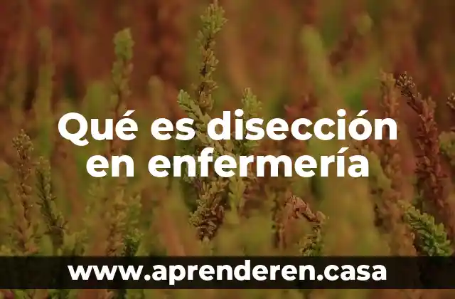 Qué es disección en enfermería