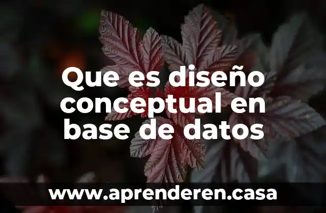 Que es diseño conceptual en base de datos