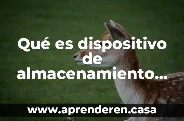 Qué es dispositivo de almacenamiento de la red