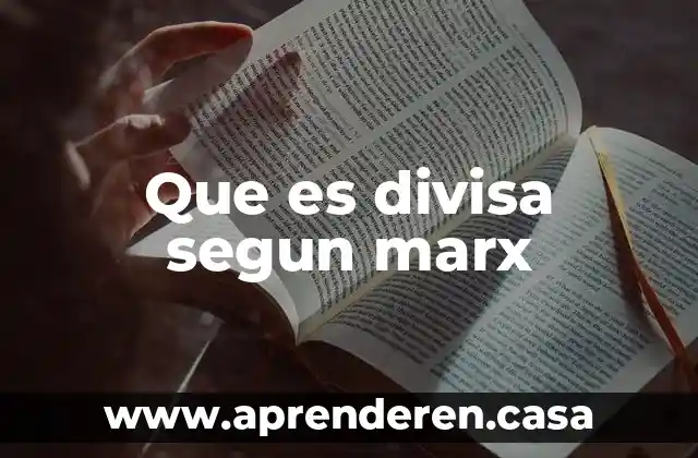 Que es divisa segun marx