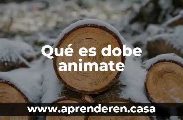 Qué es nomenclatura en planos 4 Qué es dobe animate