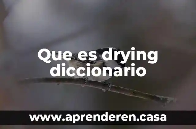Que es drying diccionario