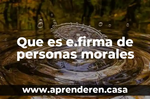 Que es e.firma de personas morales