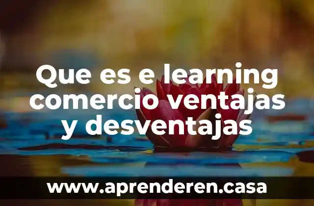 Que es e learning comercio ventajas y desventajas
