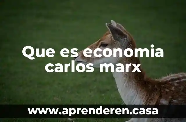 Que es economia carlos marx