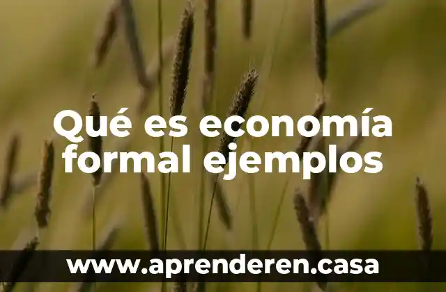 Qué es economía formal ejemplos