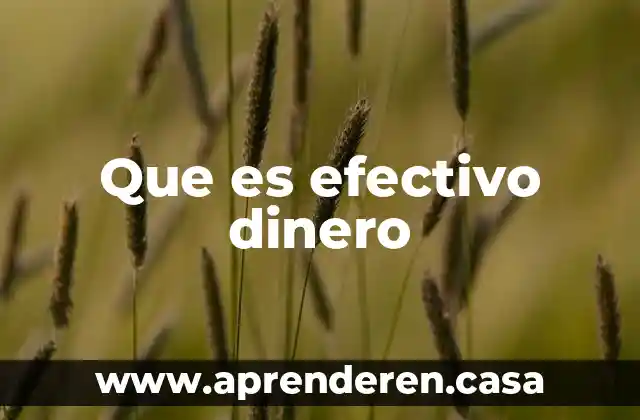 Que es efectivo dinero