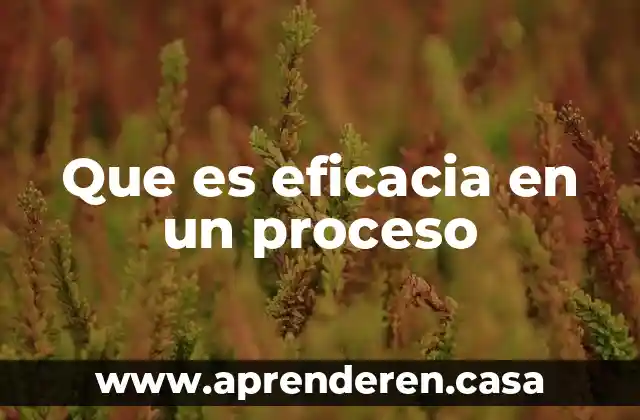 Que es eficacia en un proceso