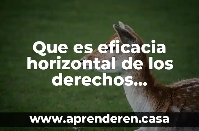 Que es eficacia horizontal de los derechos humanos