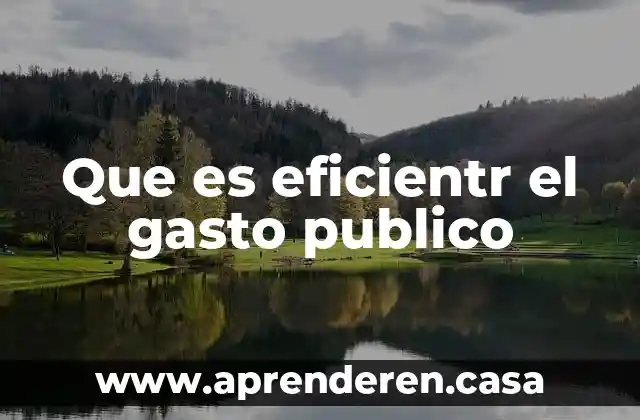 Que es eficientr el gasto publico