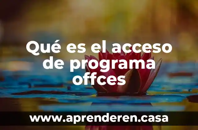 Qué es el acceso de programa offces