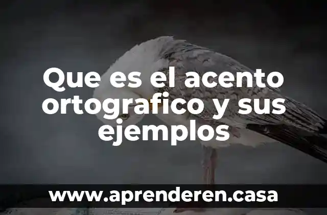 Que es el acento ortografico y sus ejemplos