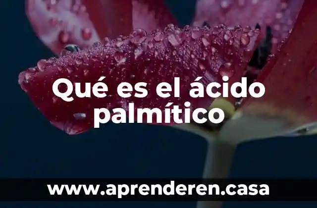 Qué es el ácido palmítico