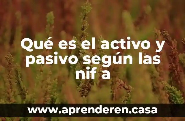 Qué es el activo y pasivo según las nif a