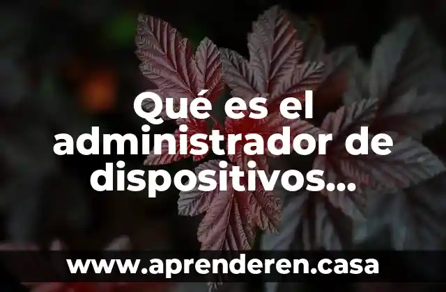 Qué es el administrador de dispositivos Windows