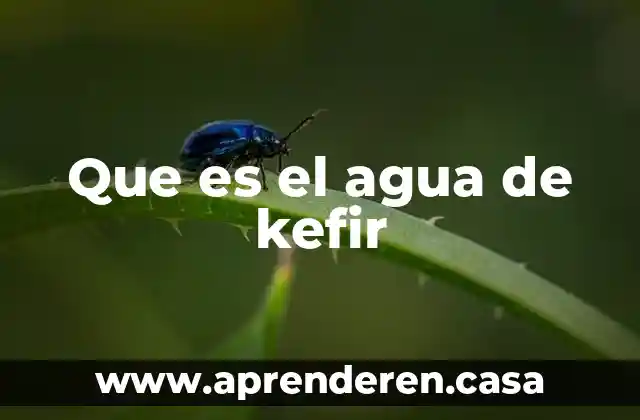 Que es el agua de kefir