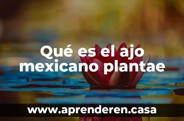 Que es el pozole mexicano 4 Qué es el ajo mexicano plantae