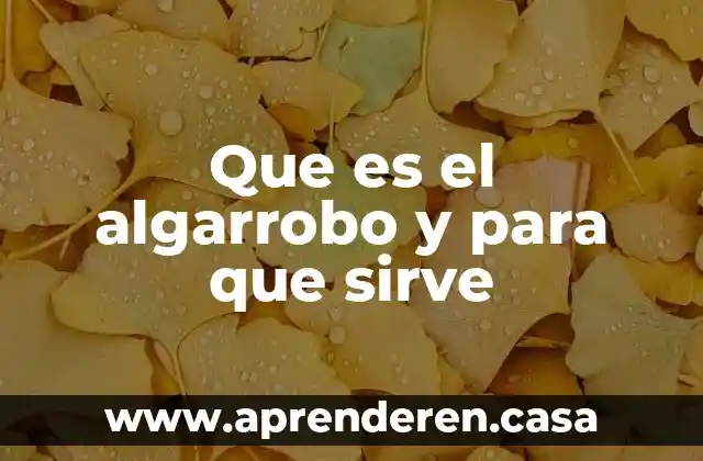 Que es el algarrobo y para que sirve