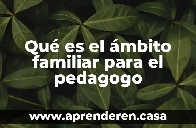 Qué es el ámbito familiar para el pedagogo