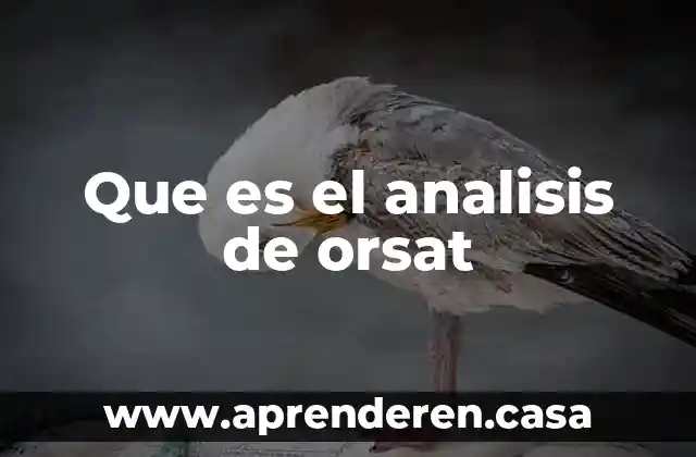 Que es el analisis de orsat