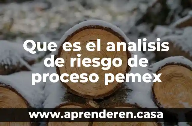 Que es el analisis de riesgo de proceso pemex