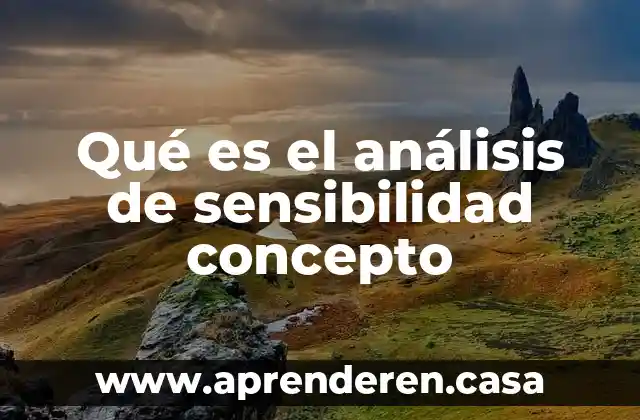 Qué es el análisis de sensibilidad concepto