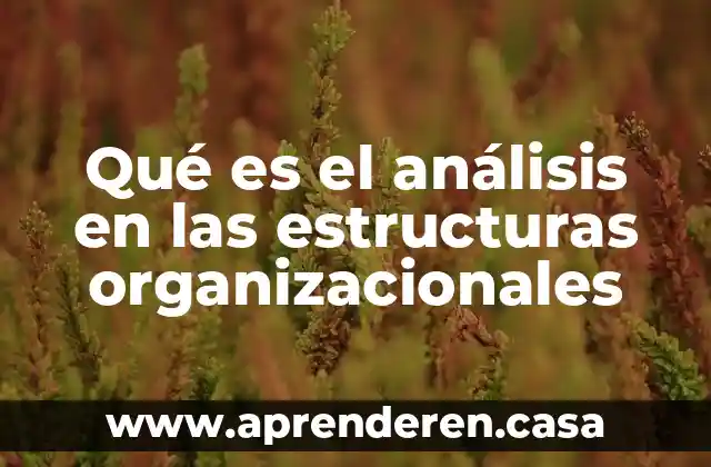 Qué es el análisis en las estructuras organizacionales