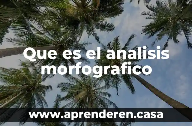 Que es un plan de analisis 6 Que es el analisis morfografico
