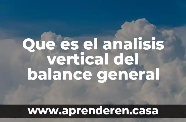 Que es el analisis vertical del balance general