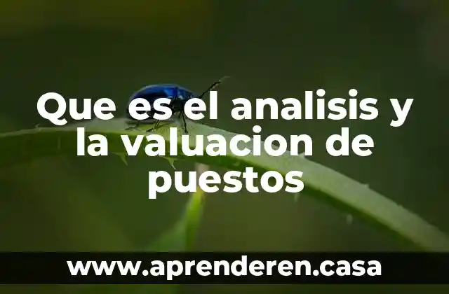 Que es el analisis y la valuacion de puestos