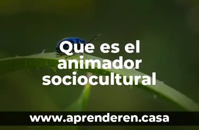 Que es el animador sociocultural
