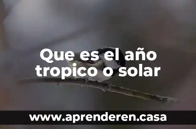 Que es el año tropico o solar