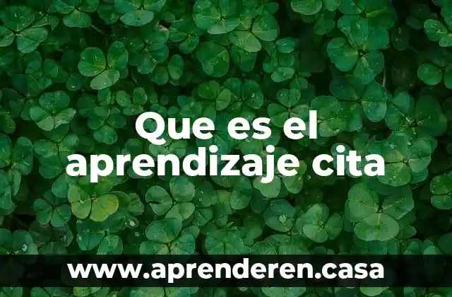 Que es el aprendizaje cita