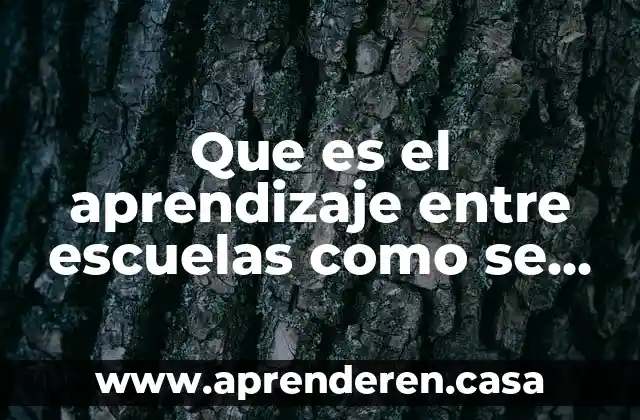 Que es el aprendizaje entre escuelas como se da