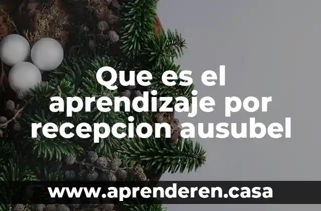 Que es el aprendizaje por recepcion ausubel