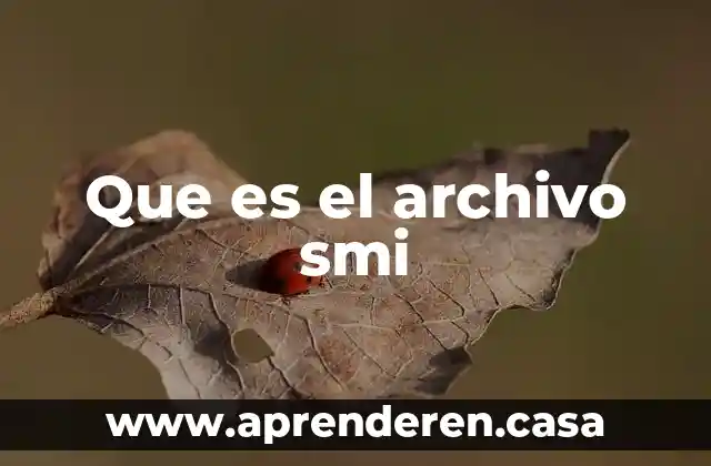 Que es el archivo smi