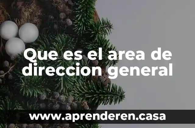 Que es el comodato de un area verde en celaya 8 Que es el area de direccion general