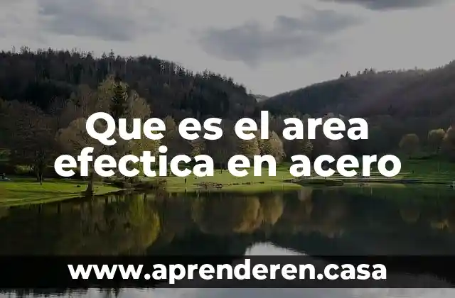 Que es el comodato de un area verde en celaya 4 Que es el area efectica en acero