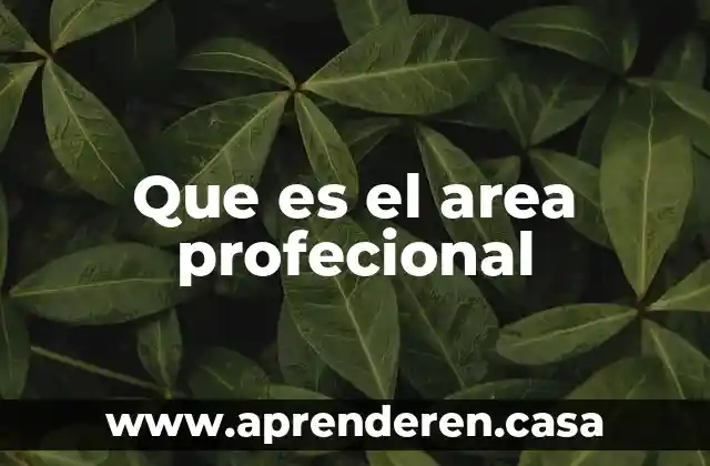 Que es el area de absorcion en una casa 7 Que es el area profecional