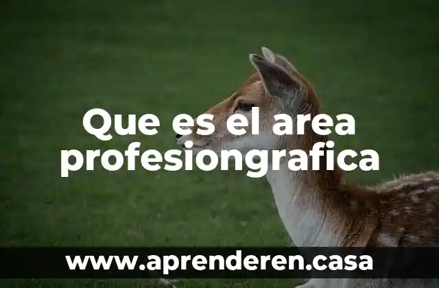 Area de un rectangulo que es 6 Que es el area profesiongrafica