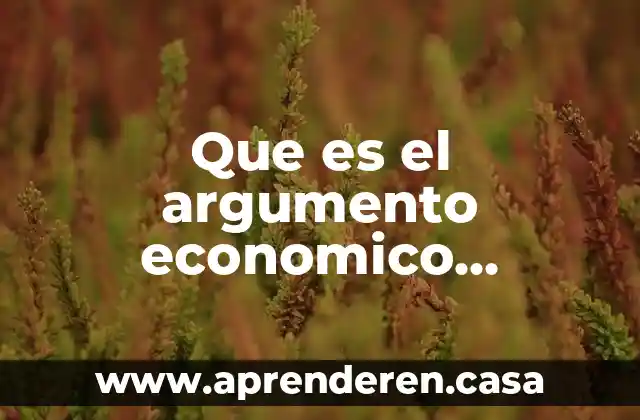 Que es el argumento economico juridico