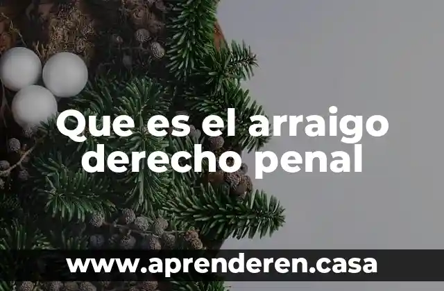 Que es el arraigo derecho penal