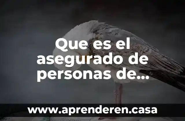 Que es el asegurado de personas de extranjeros