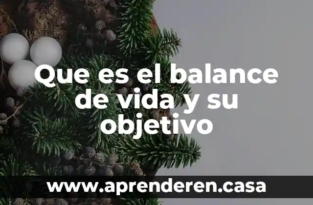 Que es el balance de vida y su objetivo