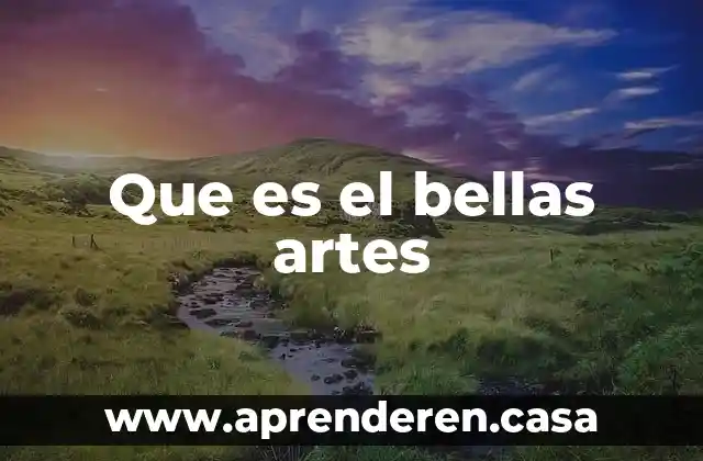 Que es un profesional en artes 3 Que es el bellas artes