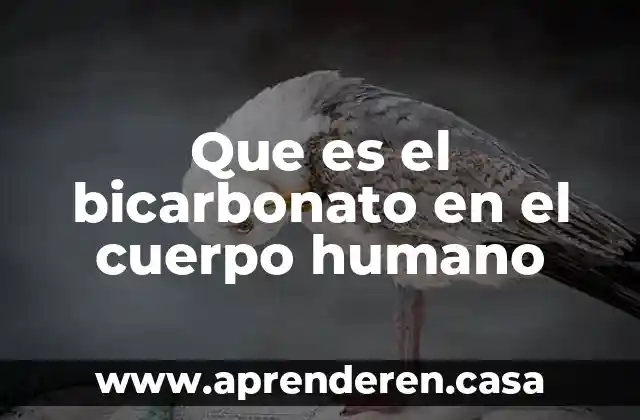 Que es el bicarbonato en el cuerpo humano